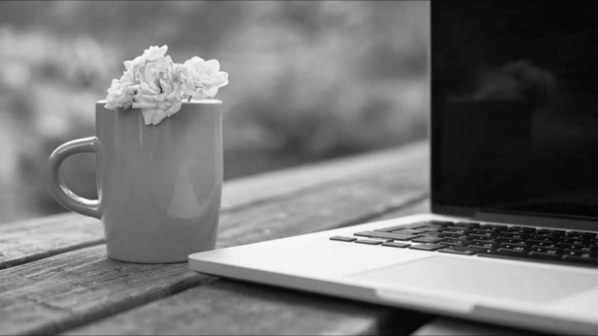 Sesiones interactivas de formación en optimización