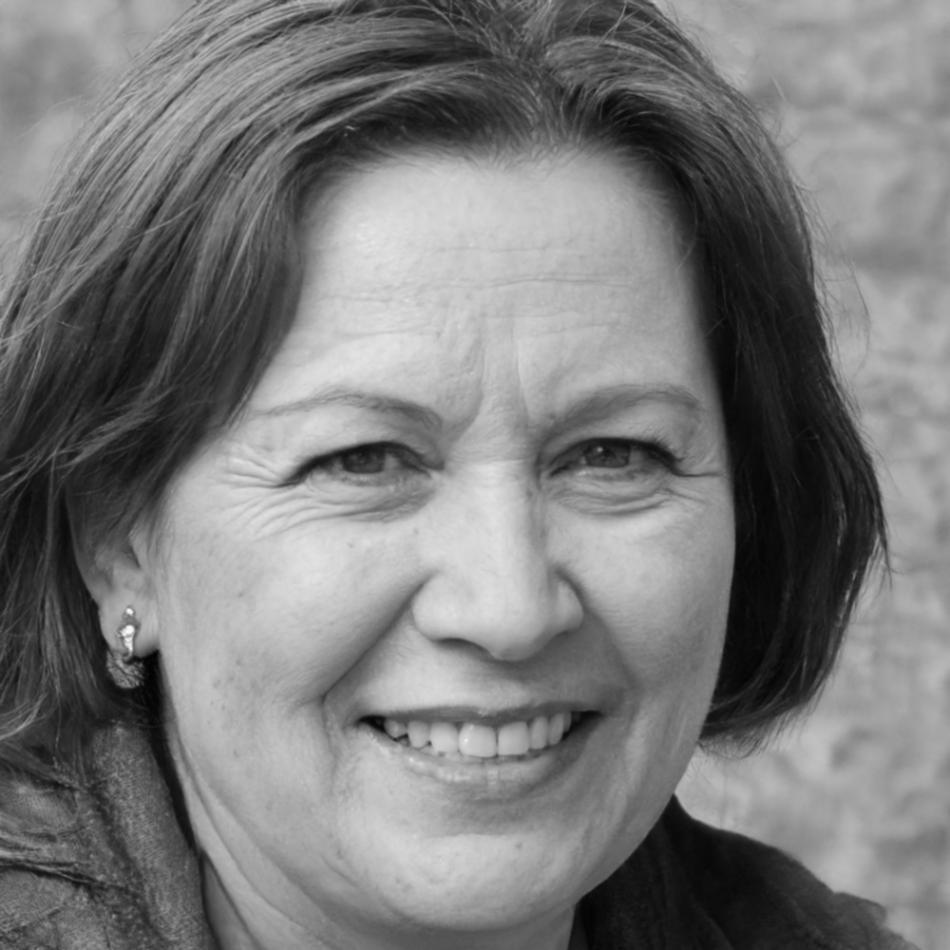 Especialista en análisis de rendimiento de contenido